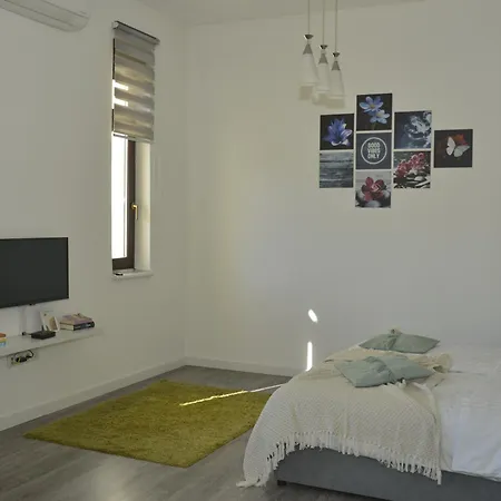 Lilium * Mostar